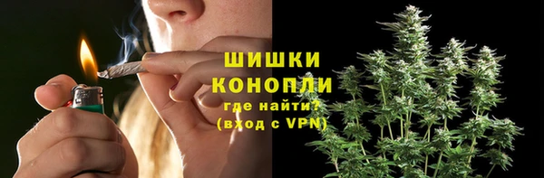 гашик Горнозаводск