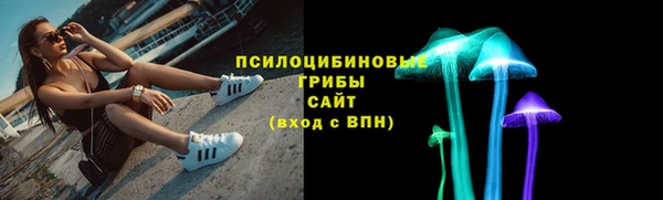 гашик Горнозаводск