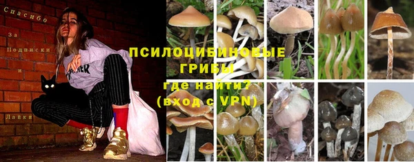 гашик Горнозаводск