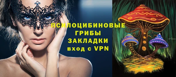 винт Горно-Алтайск