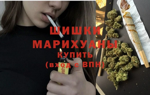 винт Горно-Алтайск